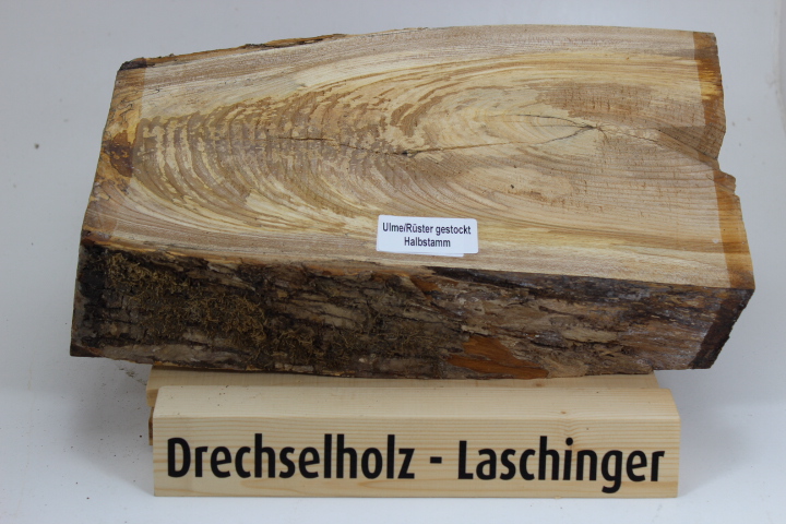 Kirsche Halbstamm 200x200x50 mm
