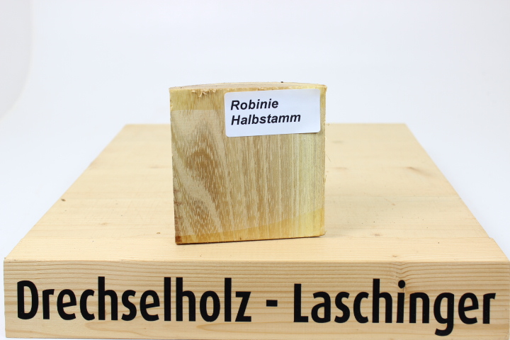 Robinie Halbstamm 200x200x60 mm